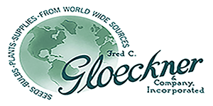 Gloeckner logo